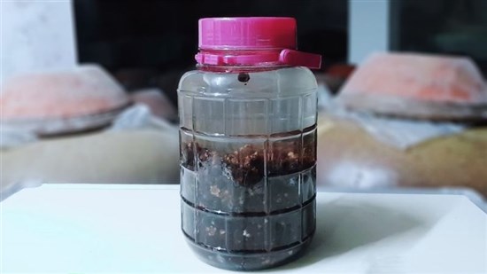 Cách ngâm rượu sim tươi không đường thành công 100%