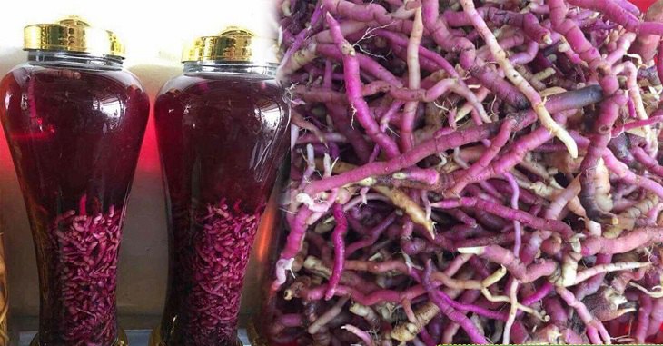Rượu ngâm ba kích mang lại nhiều lợi ích cho sức khỏe
