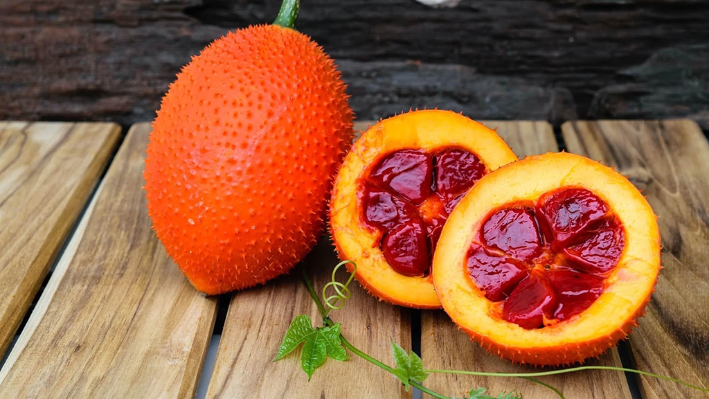 Chọn hạt gấc chín, chất lượng