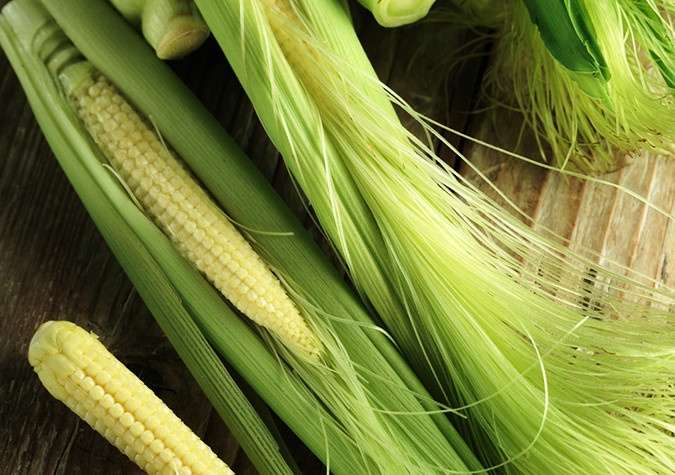 Chọn ngô bao tử ngon, tươi