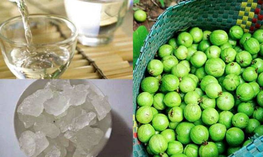 Ngâm rượu ổi với đường phèn