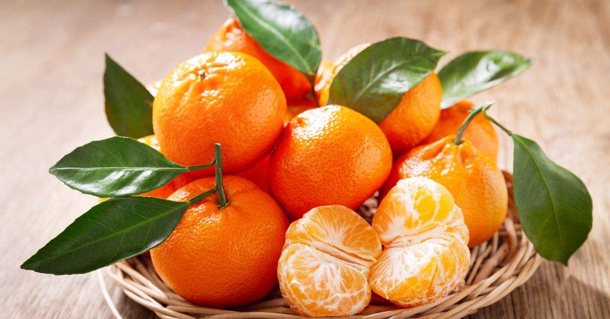 Chọn quýt chín mọng nước để ngâm rượu