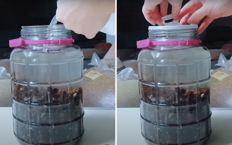 Thêm rượu nếp trắng và ủ rượu sim