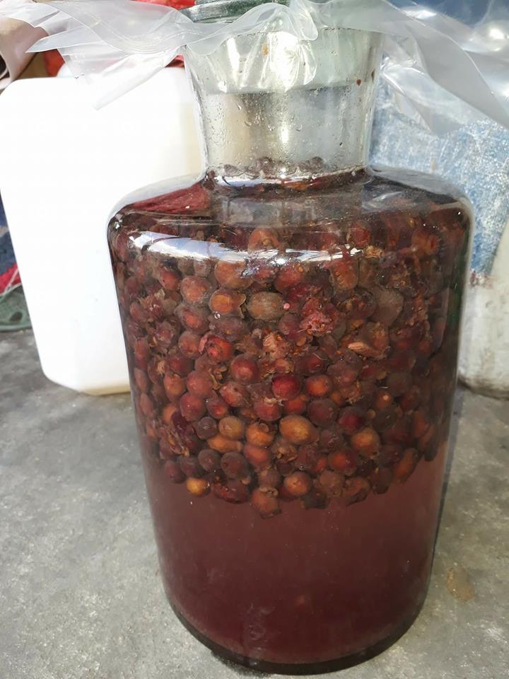 Rượu sim khô ngâm thích hợp với nhiều đối tượng