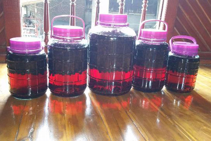 Cho rượu trắng vào chum ngâm rượu sim khô