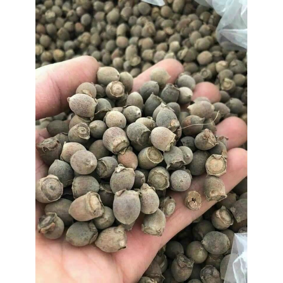 Quả sim tươi sau khi được phơi/sấy khô