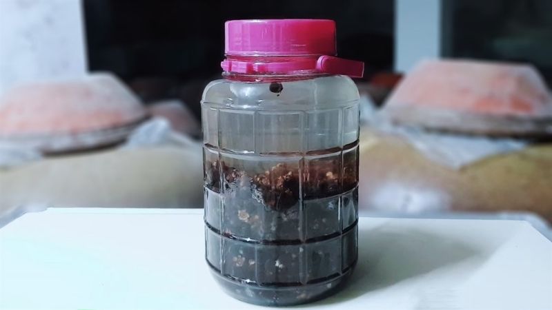 Cách uống rượu sim