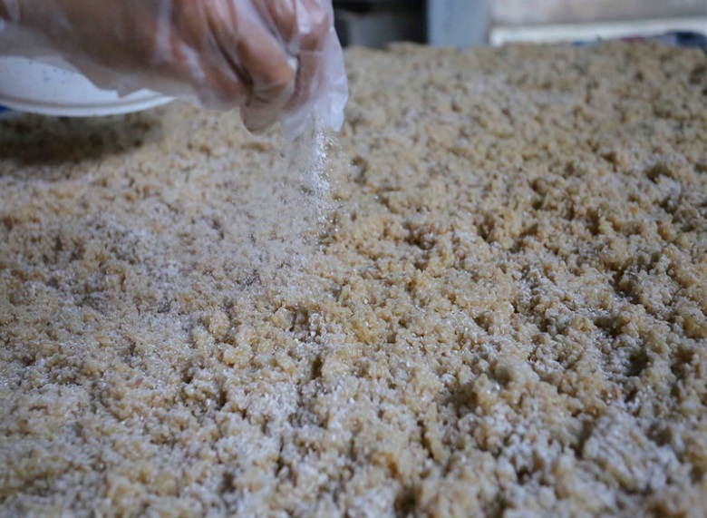 Trộn men rượu thật đều với xôi nếp cái