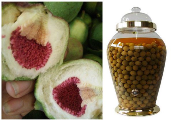 Cách ngâm rượu quả trâu cổ đơn giản