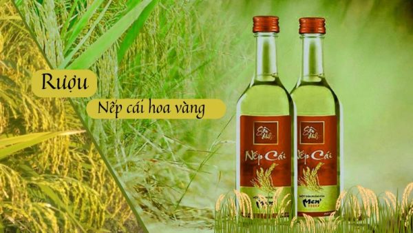 Rượu nếp cái hoa vàng mang lại nhiều lợi ích cho sức khỏe