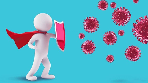 Sử dụng rượu ngâm chuối hột đúng cách giúp tăng cường miễn dịch
