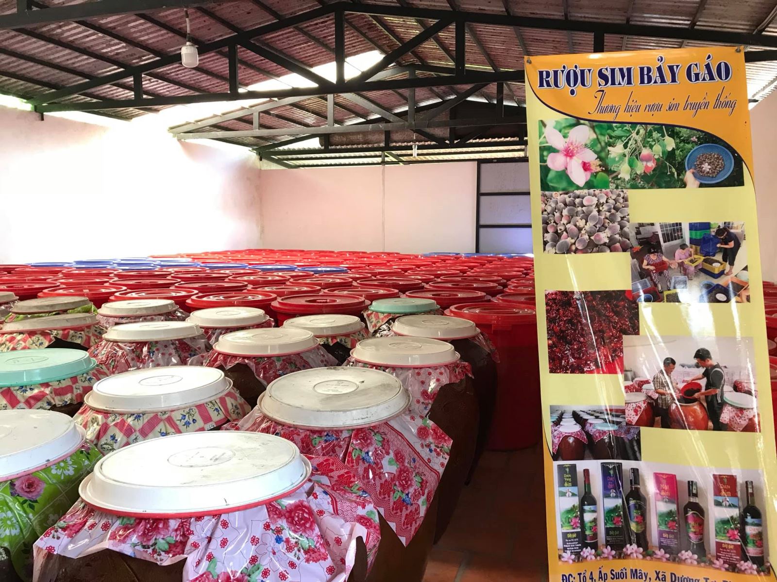 Quy trình sản xuất rượu sim Phú Quốc