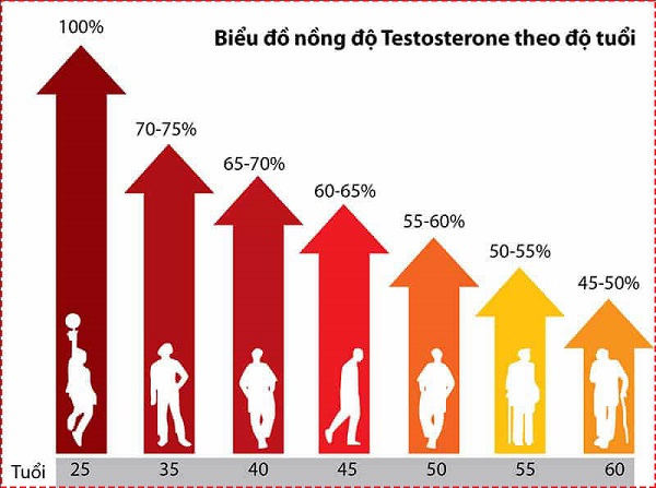 Rượu cỏ xước kích thích sản xuất testosterone của nam giới