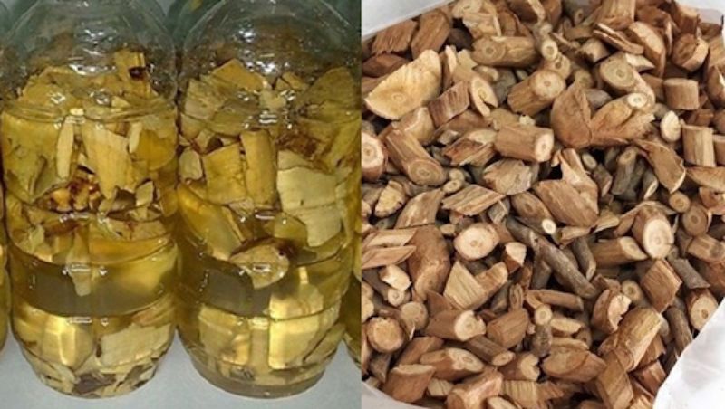 Cách làm rượu ngâm địa liền