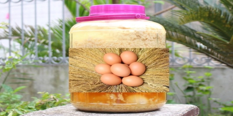 Tỷ lệ ngâm rượu nếp cái hoa vàng trứng gà chuẩn
