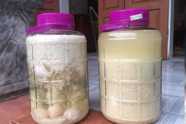 Hướng dẫn cách ngâm rượu nếp cái hoa vàng trứng gà