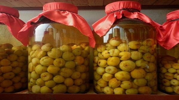 Rượu táo mèo có nhiều tác dụng khác nhau