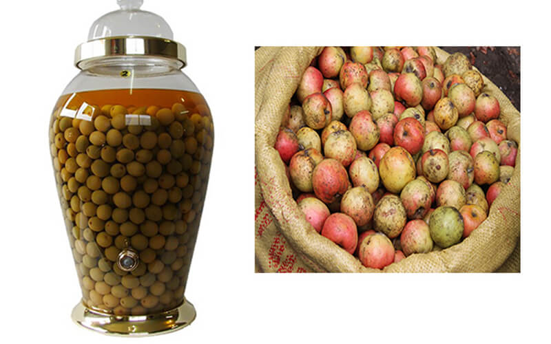 Táo mèo tươi chọn những quả già