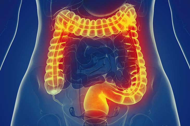 Tốt cho hệ tiêu hóa của con người