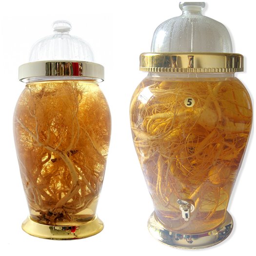 Bình ngâm rượu Hàn Quốc đẹp 18 lít