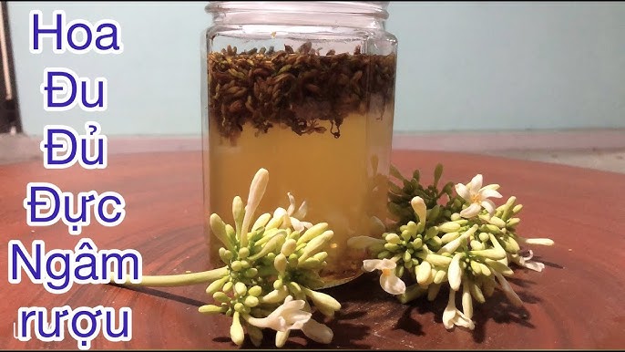 Cách ngâm rượu hoa đu đủ đực