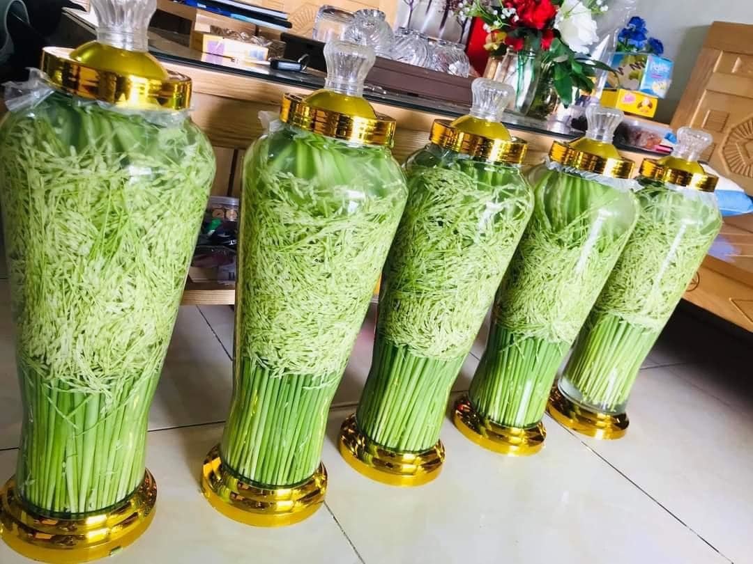 Các lợi ích khi dùng đòng đòng ngâm rượu