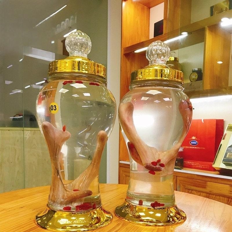 Những điều cần lưu ý khi ngâm và sử dụng rượu lộc nhung ngâm