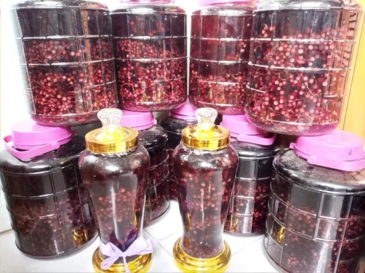 Công dụng của nho rừng ngâm rượu đối với sức khỏe